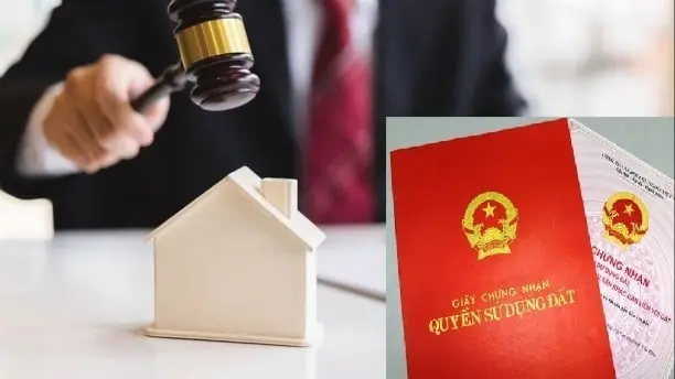 Xử phạt hành vi lấn chiếm đất | Sống và làm việc theo pháp luật | 14/11/2025